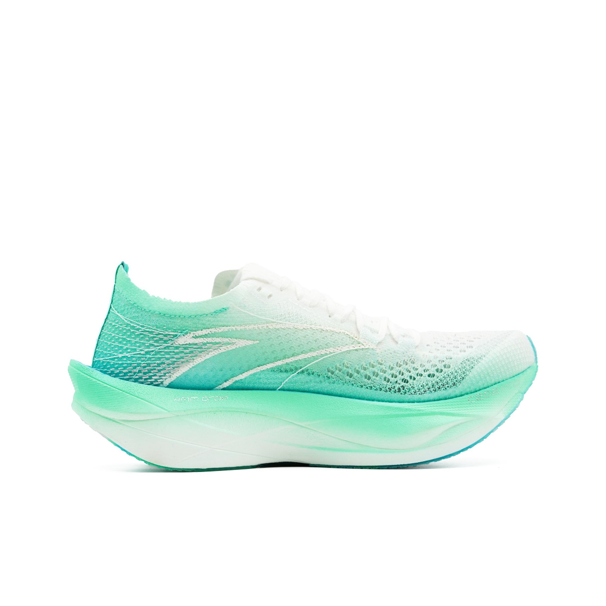 Anta C202 6.0 PRO Antypoślizgo – Men'S Shoes Green And White recenzja i cena